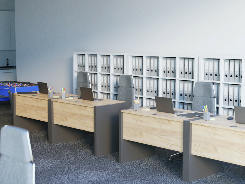 Baldų kolekcija Domsono