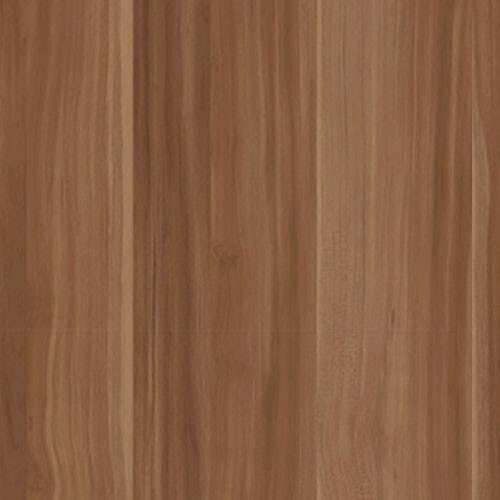 Spinta Murrieta 101 (Slyva)