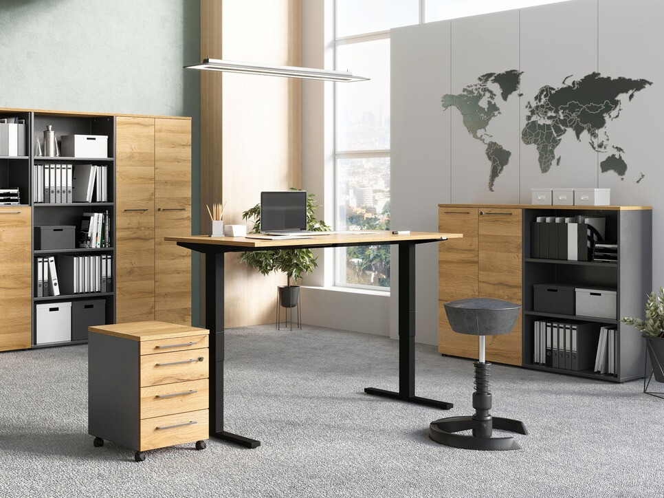 Lentyna Eliromo 101 (Grafitas + Grandson ąžuolas)