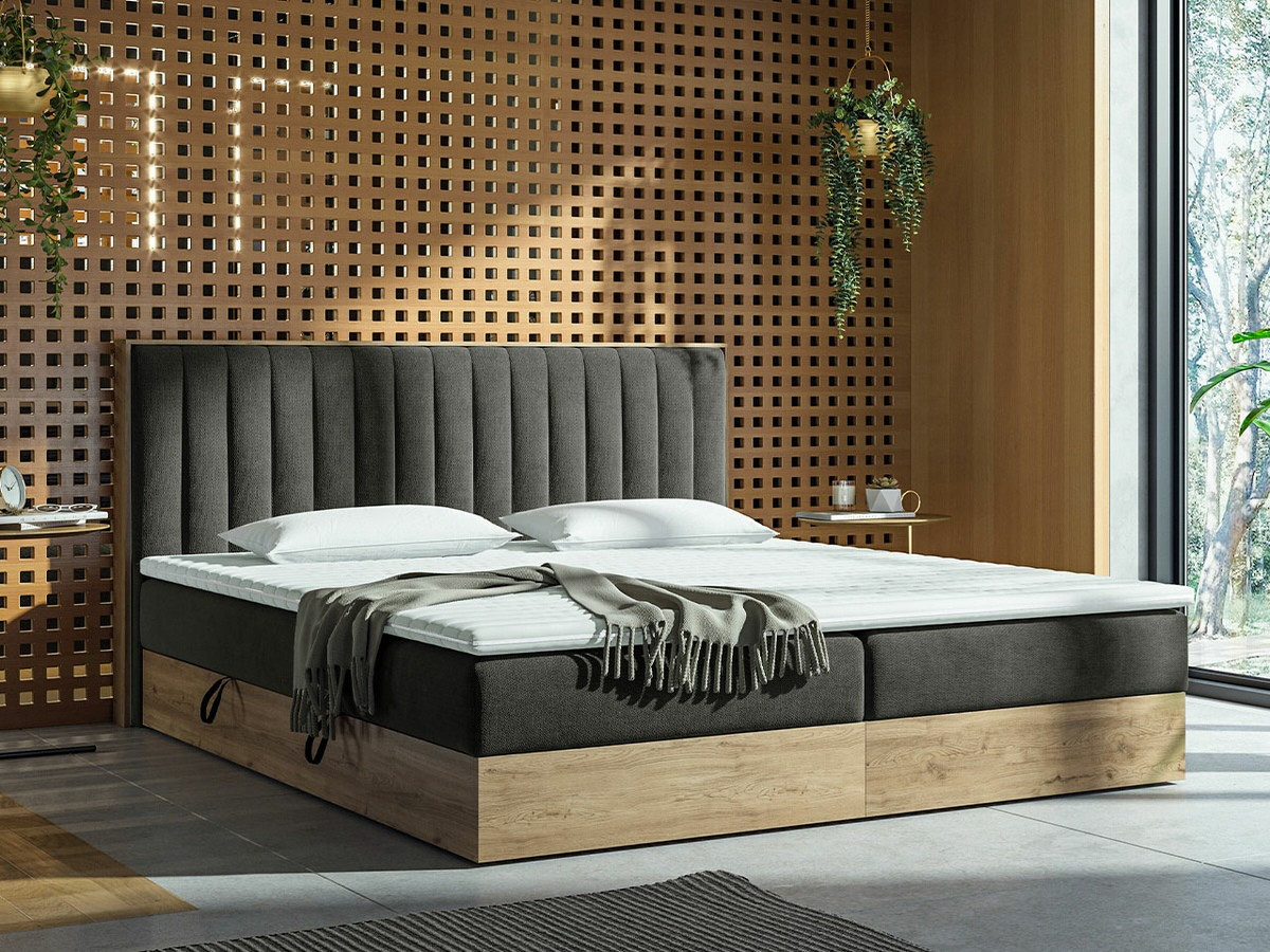 Continental lova ComfiDream 166 (Auksinis ąžuolas + Soro 24)