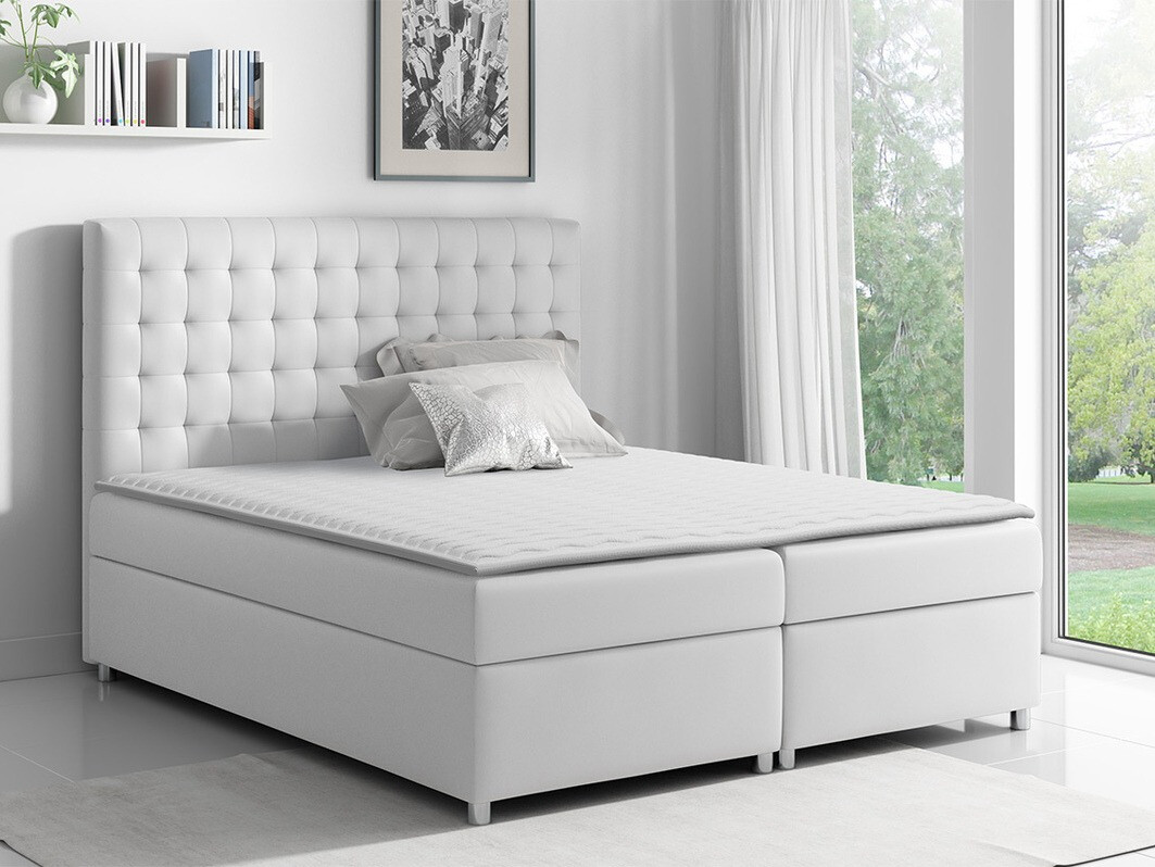 Continental lova Panis (Soft 017)