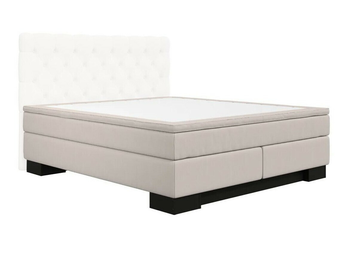 Continental lova Sonlome 100