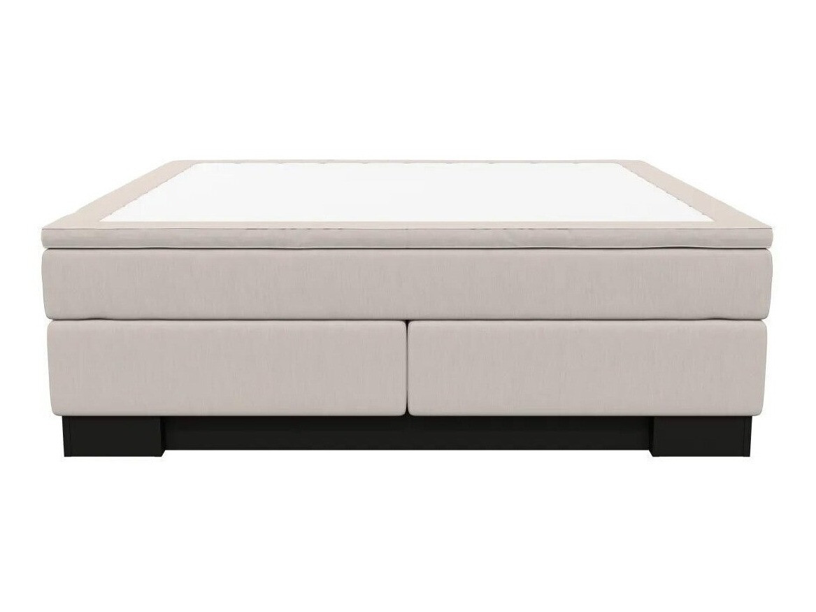 Continental lova Sonlome 100