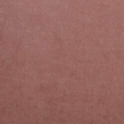 Continental lova Litus I (Mono 235)