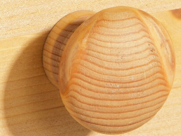 Lentyna Denton 238 (Pušis)