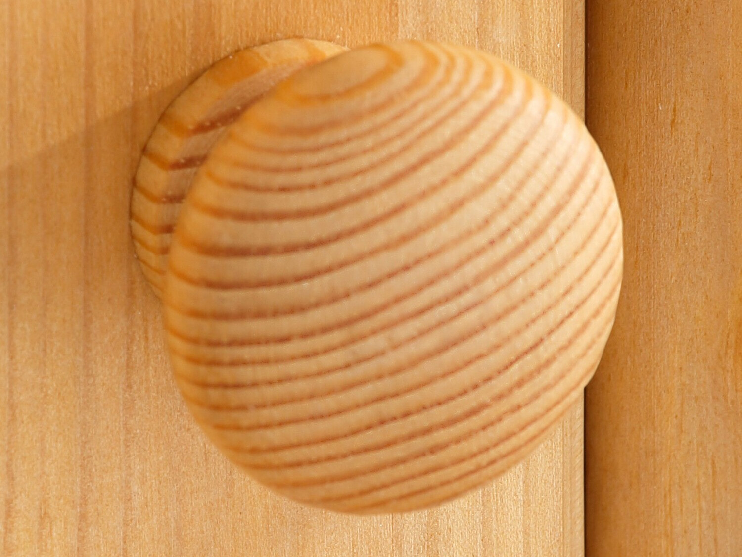 Lentyna Denton 239 (Pušis)