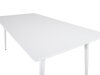 Stalas Dallas 127 (Balta)
