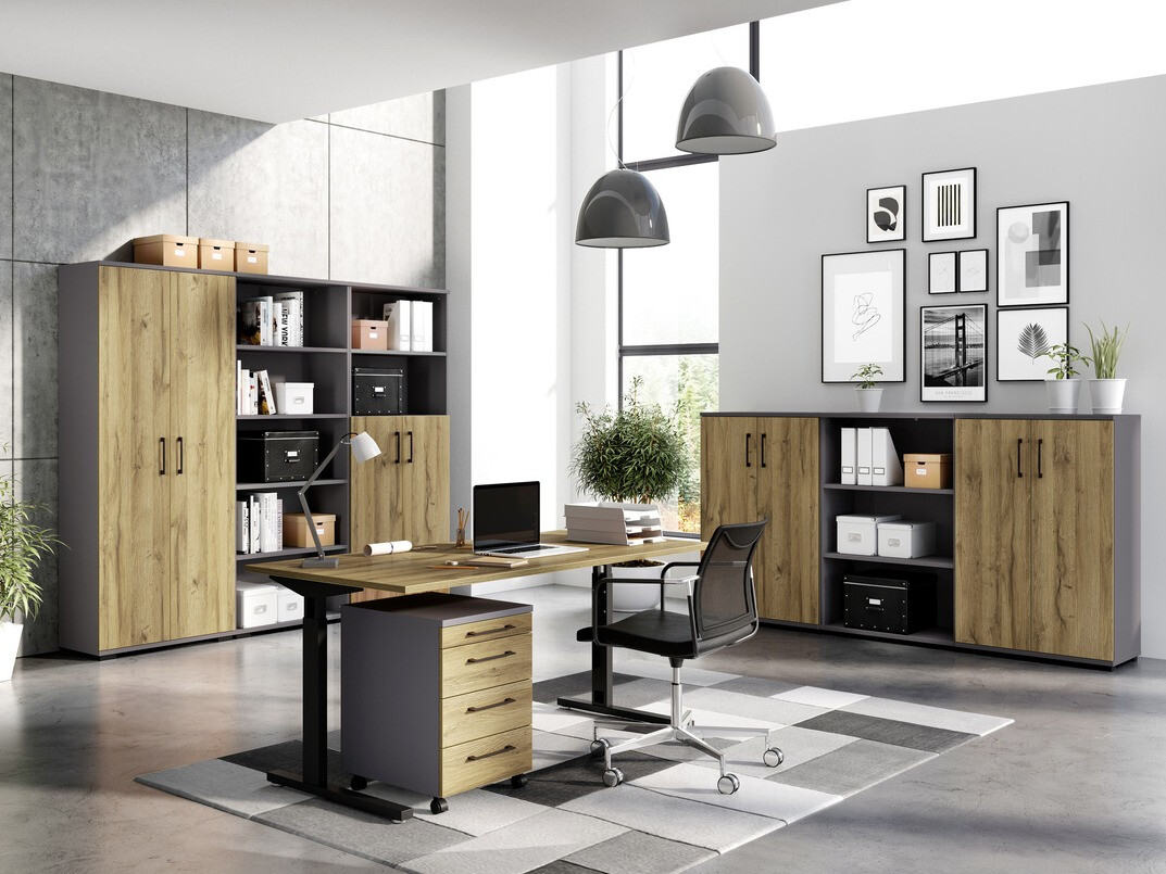 Spintelė Lartesi 101 (Grafitas + Grandson ąžuolas)