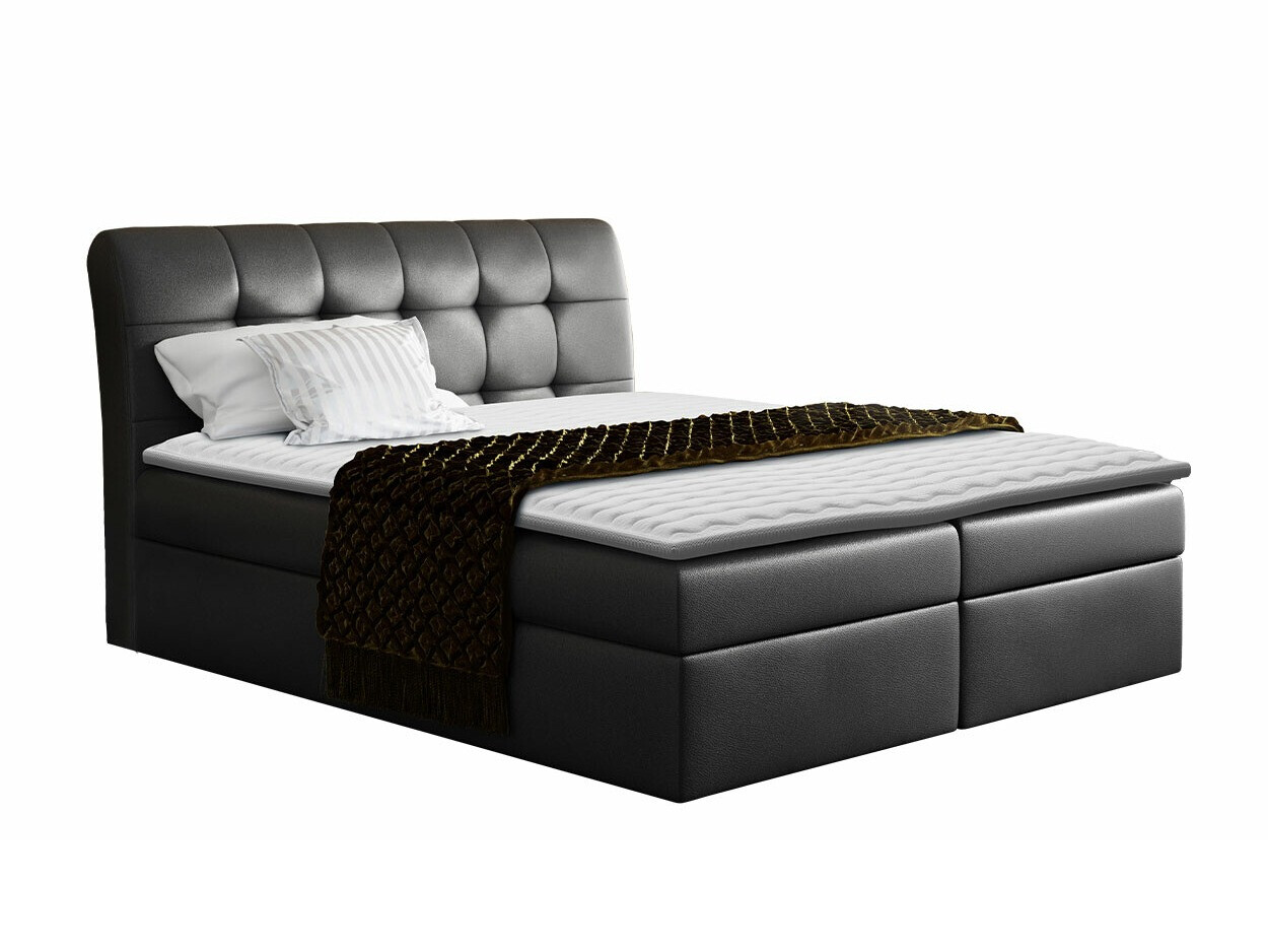 Continental lova Campania (Soft 011)