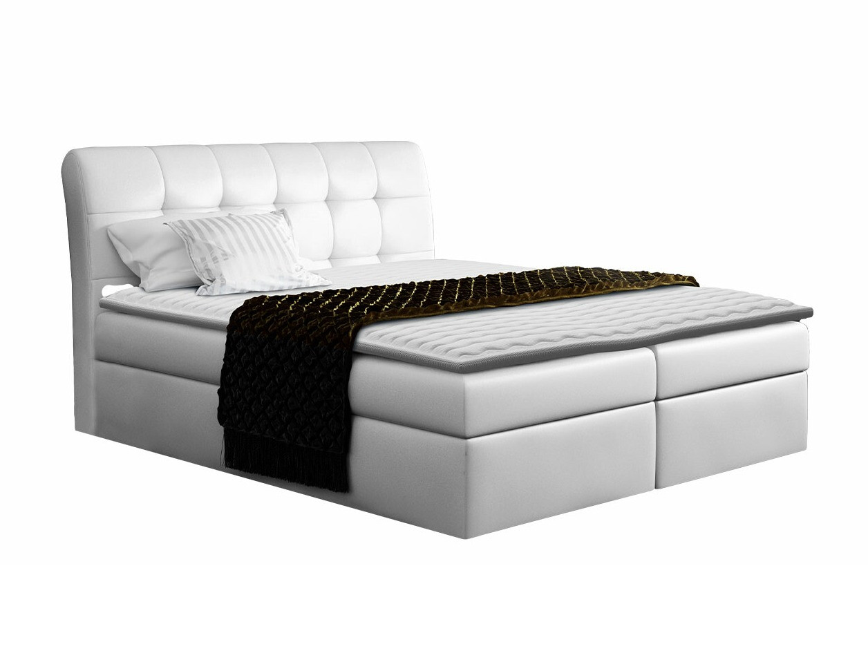 Continental lova Campania (Soft 017)