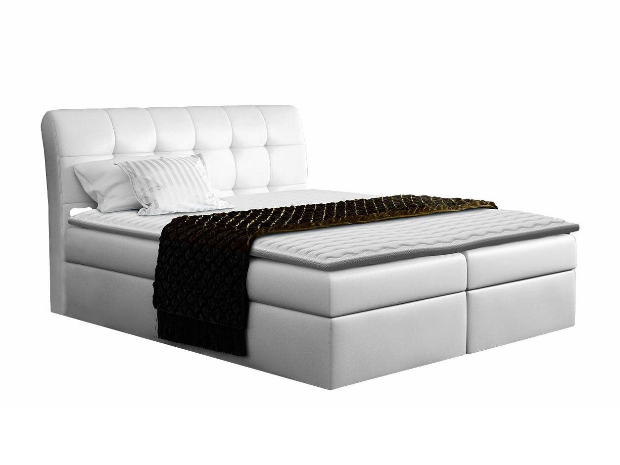 Continental lova Campania (Soft 017)
