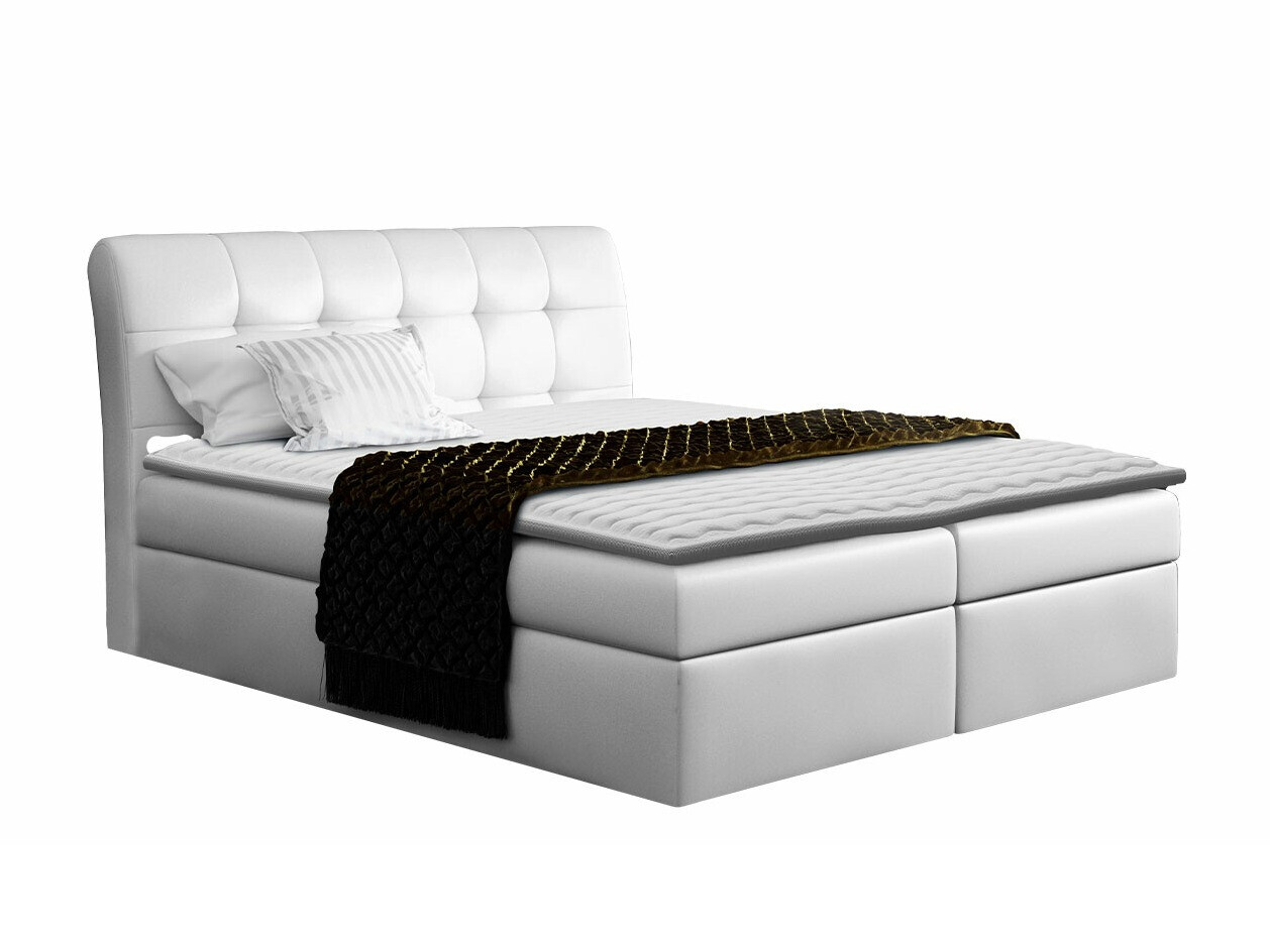 Continental lova Campania (Soft 017)