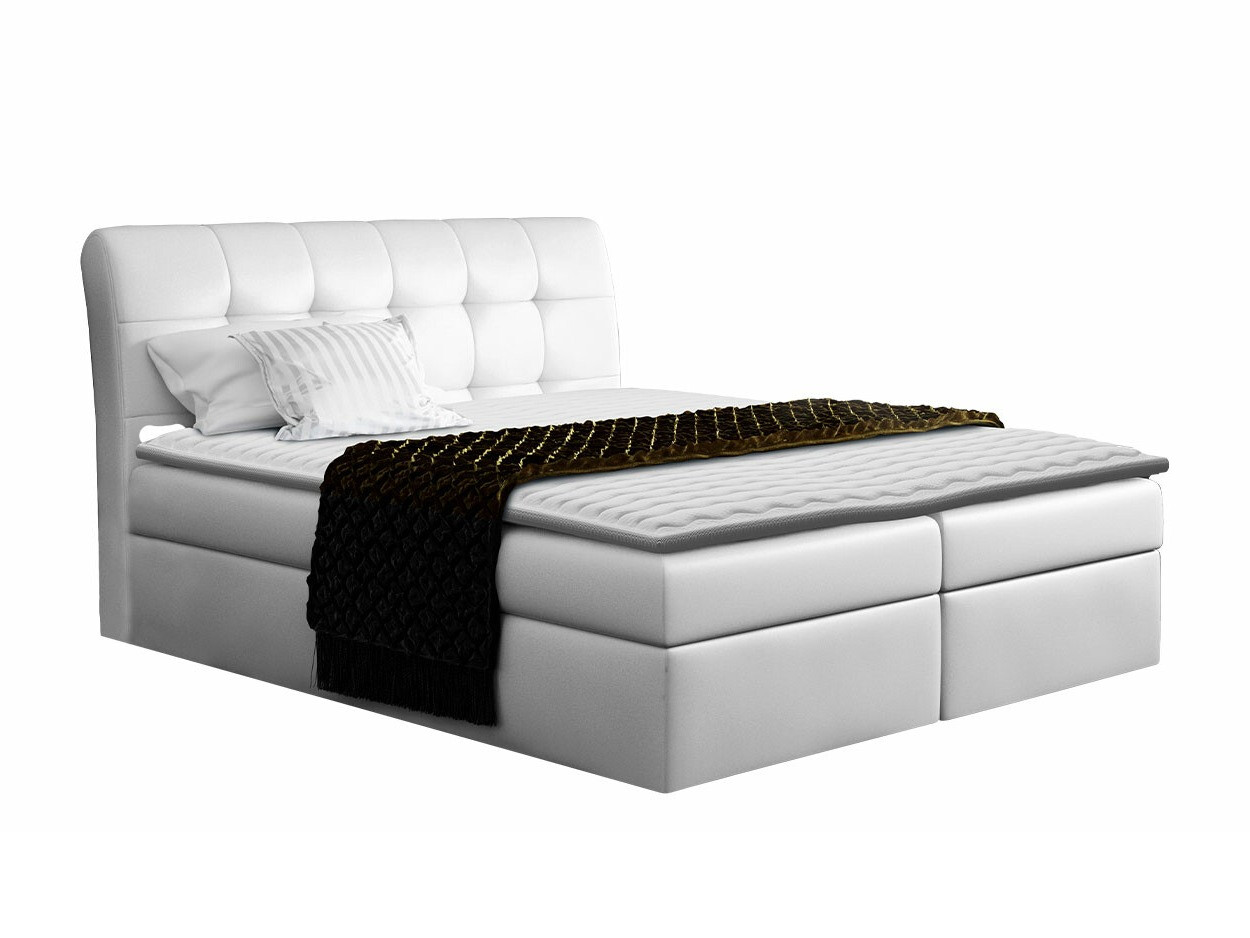 Continental lova Campania (Soft 017)