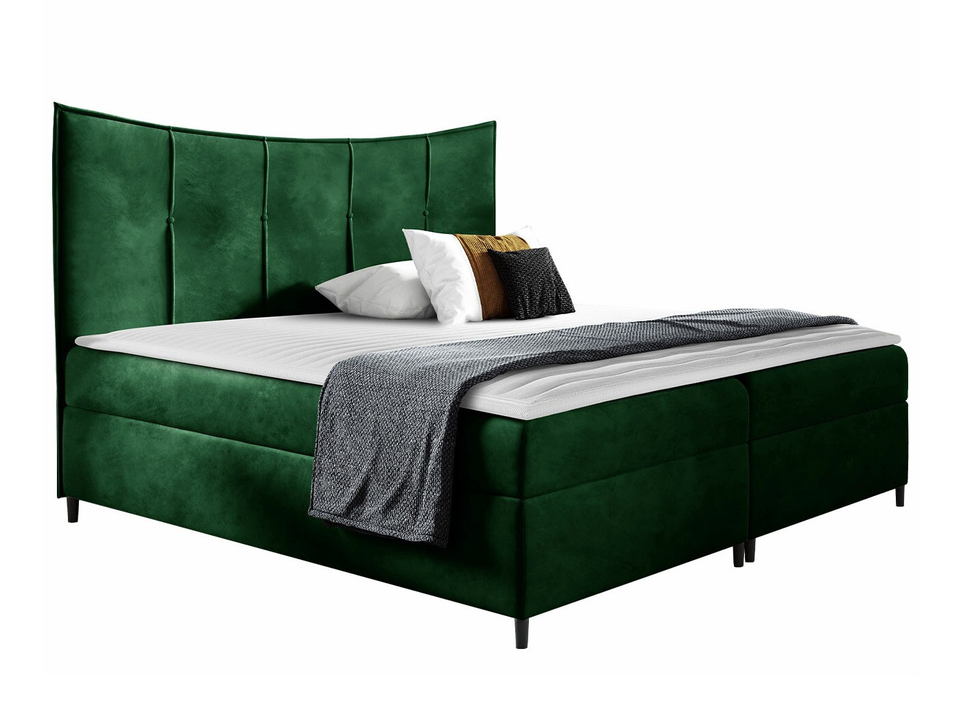 Continental lova Fons I (Fresh 13)