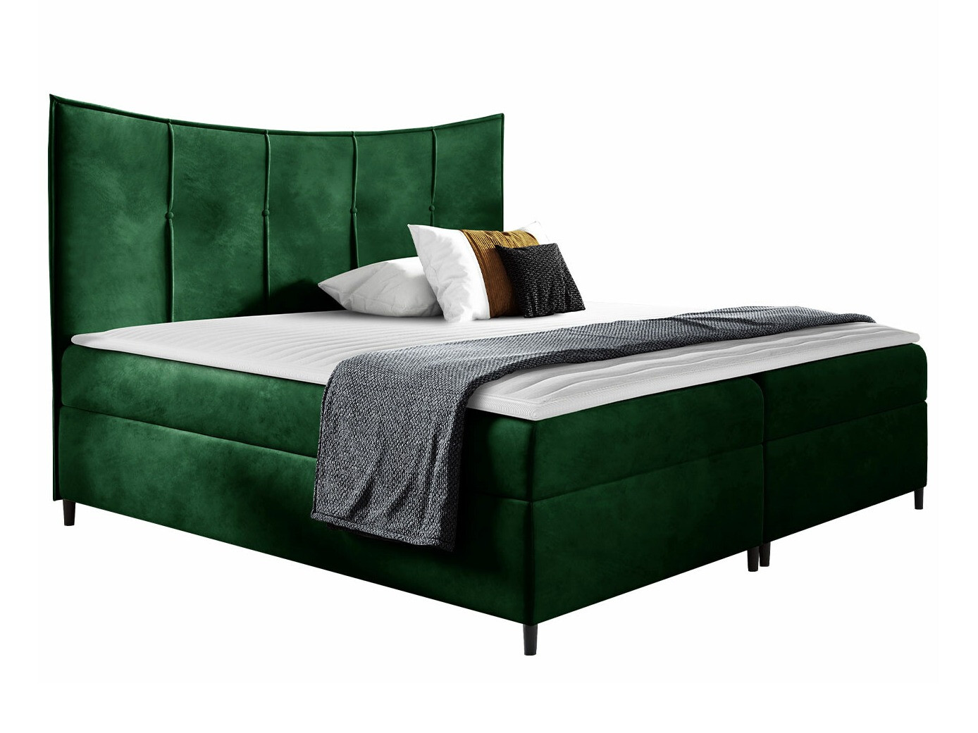 Continental lova Fons I (Fresh 13)