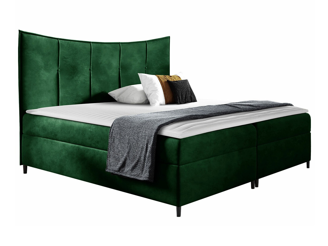 Continental lova Fons I (Fresh 13)