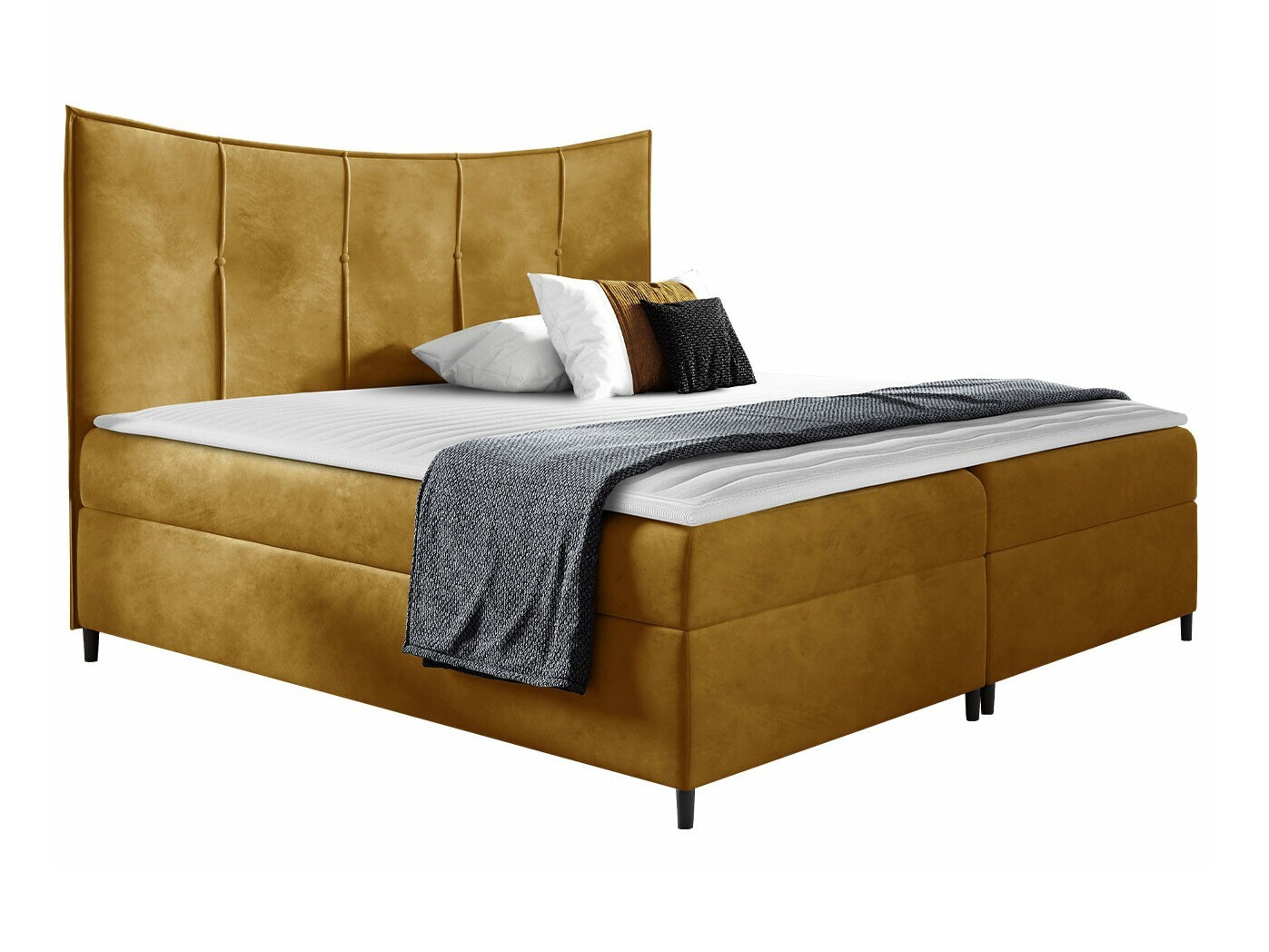 Continental lova Fons I (Fresh 37)