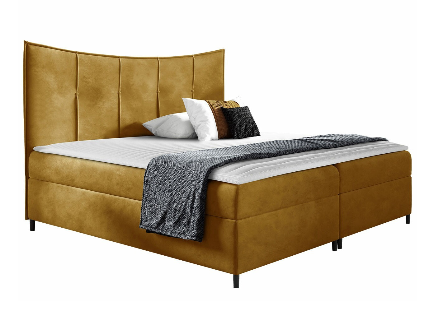Continental lova Fons I (Fresh 37)