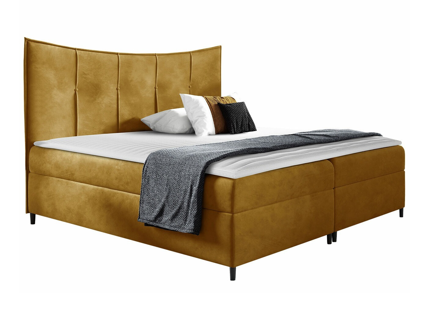 Continental lova Fons I (Fresh 37)
