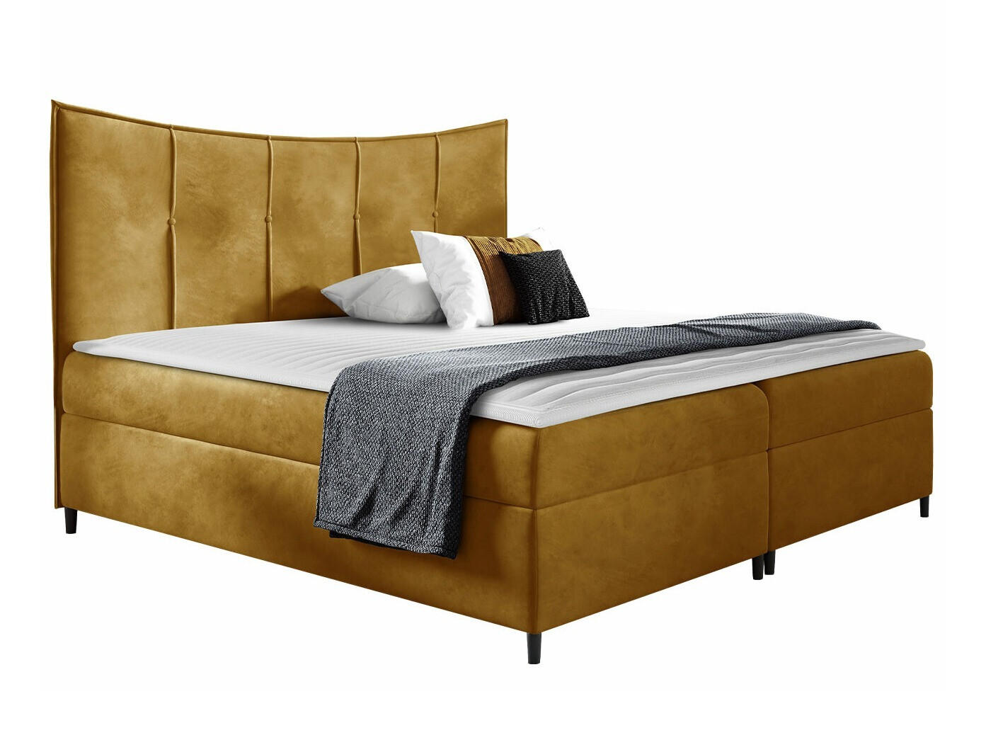 Continental lova Fons I (Fresh 37)