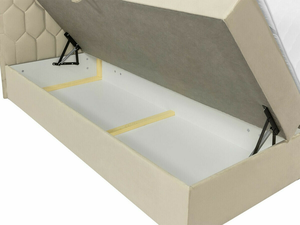 Continental lova Pons III (Fresh 13)