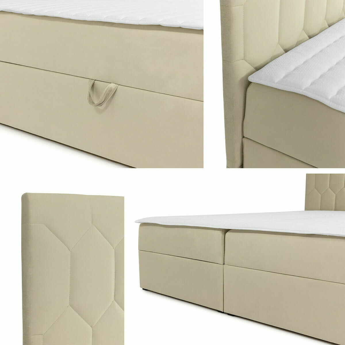 Continental lova Pons III (Fresh 33)