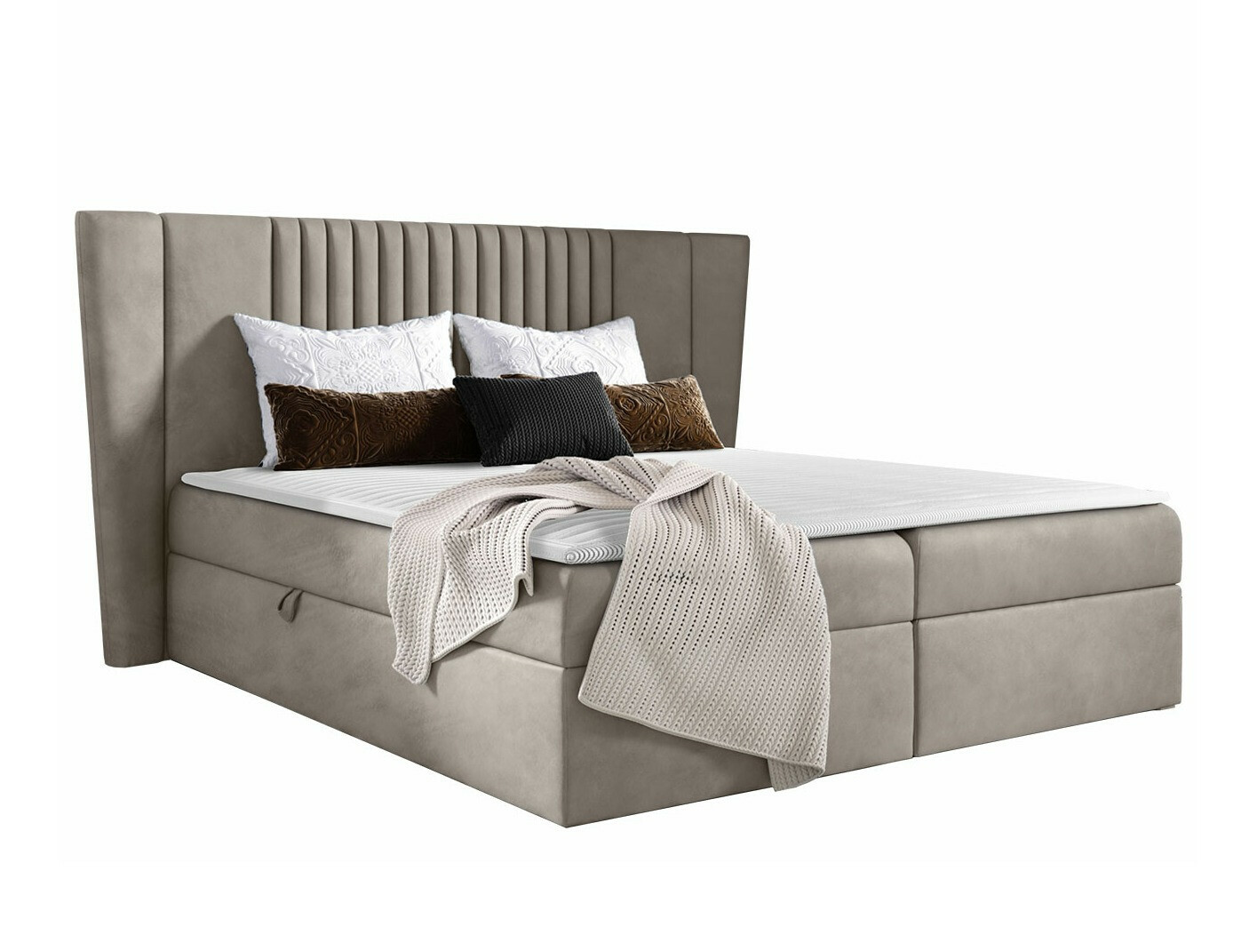 Continental lova Fenestra (Magic Velvet 2209)