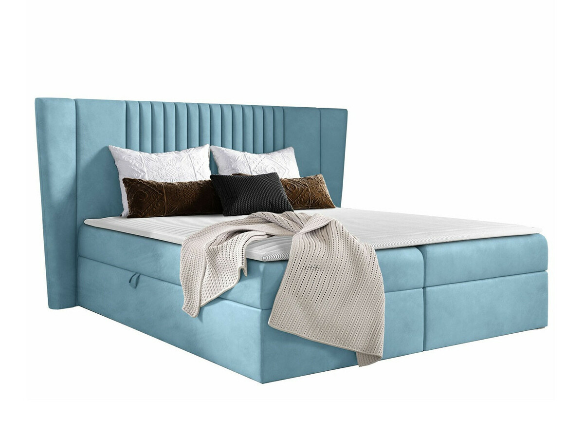 Continental lova Fenestra (Magic Velvet 2260)