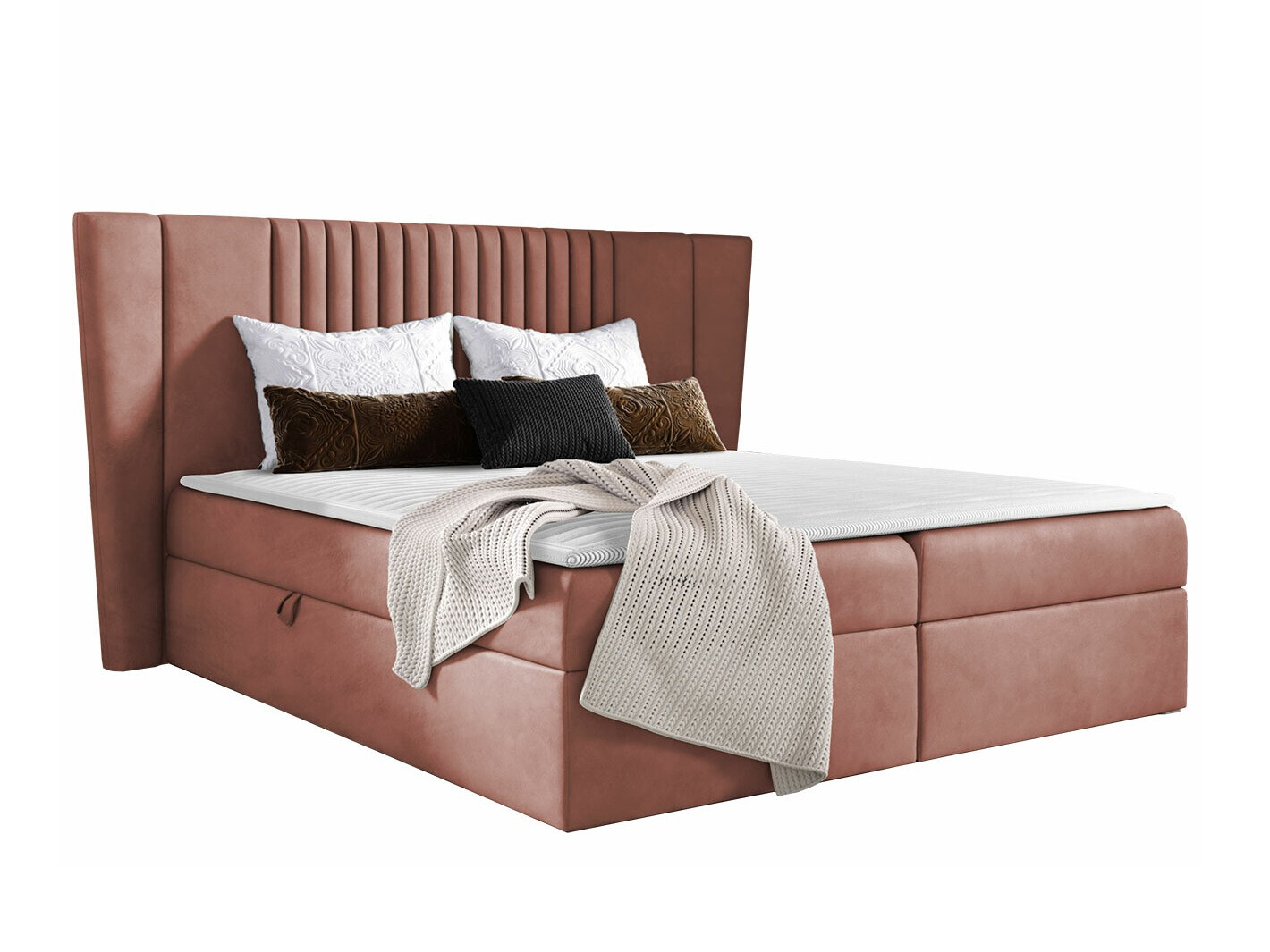 Continental lova Fenestra (Magic Velvet 2258)