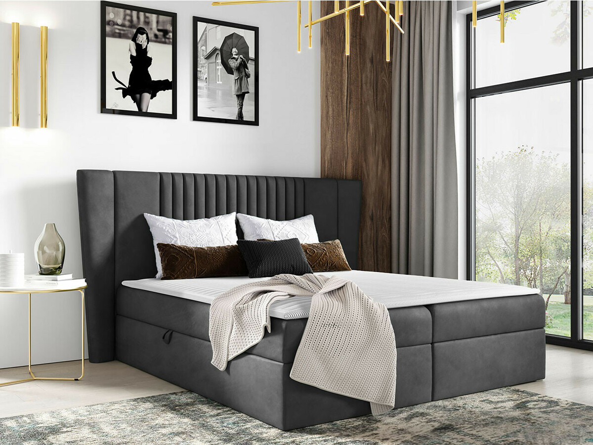 Continental lova Fenestra (Magic Velvet 2271)