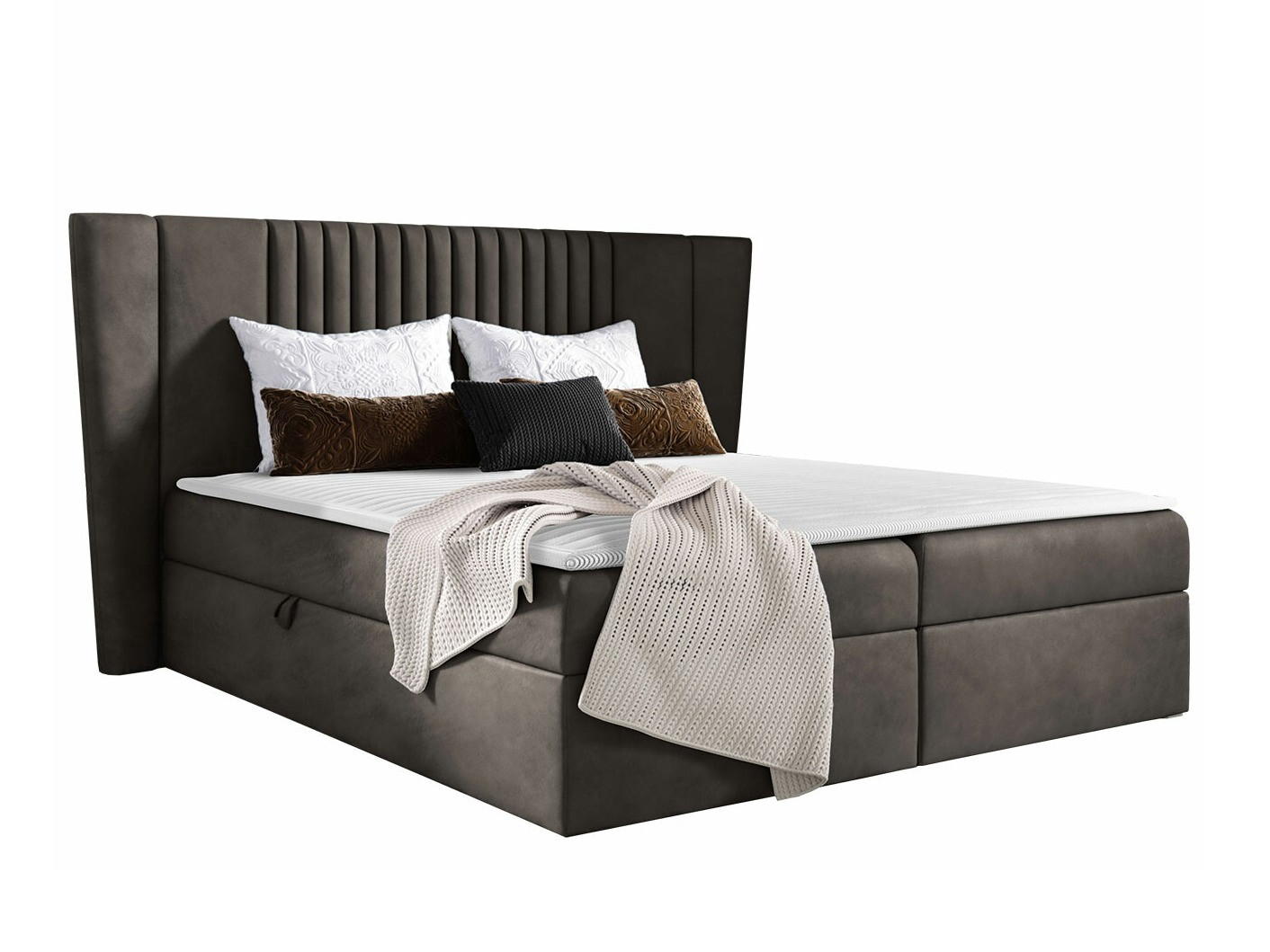 Continental lova Fenestra (Magic Velvet 2273)