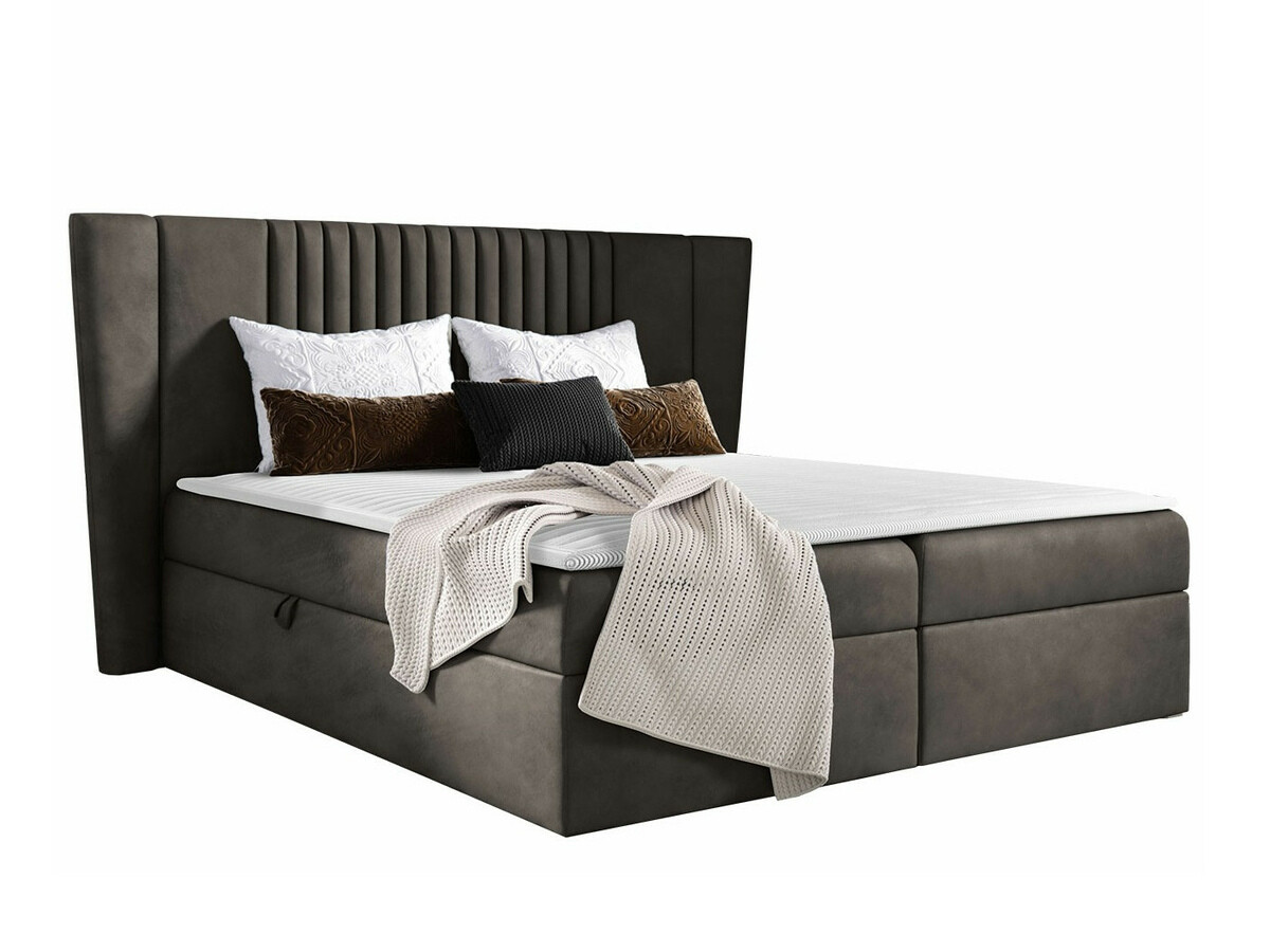 Continental lova Fenestra (Magic Velvet 2273)
