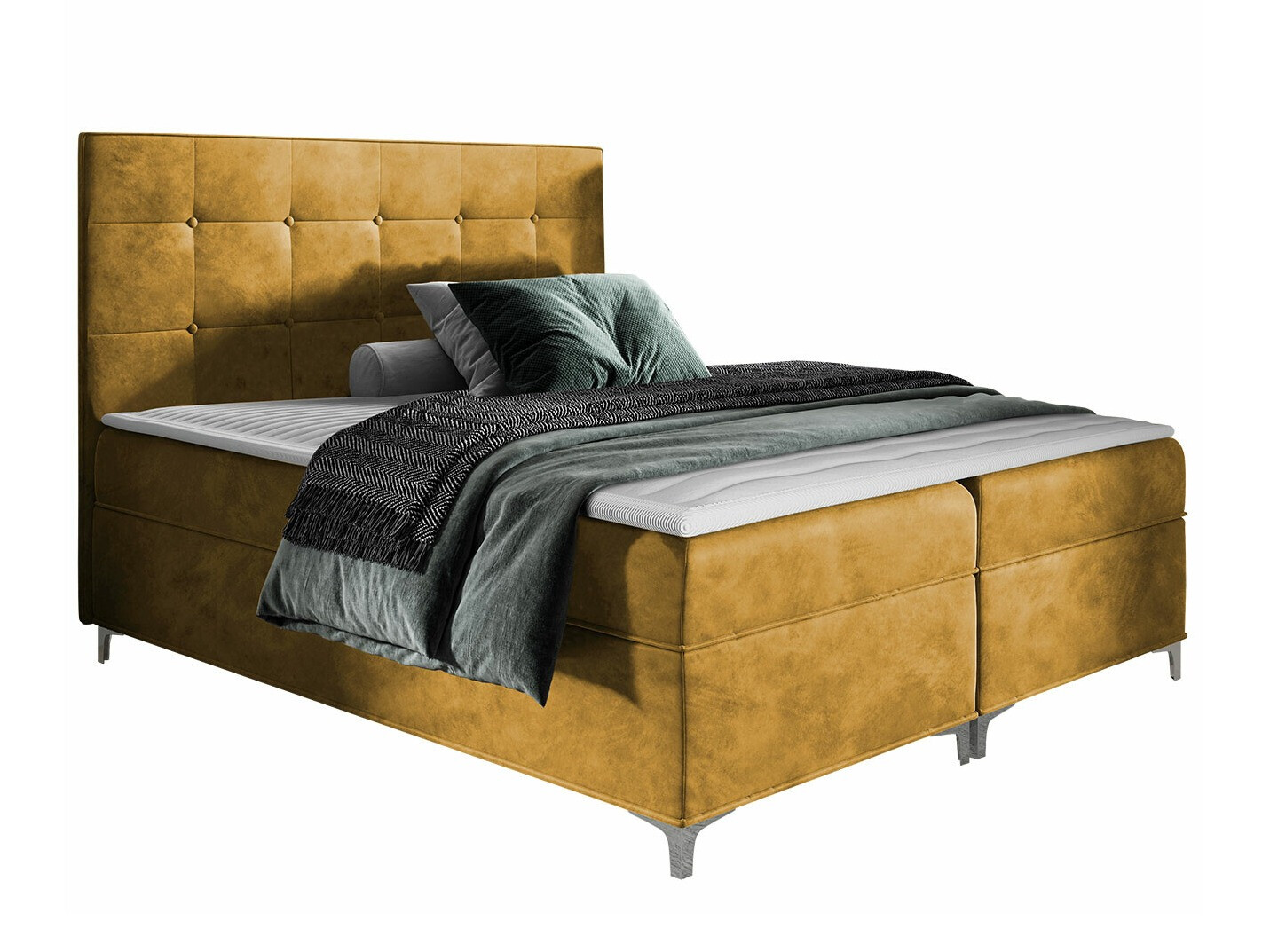 Continental lova Porta (Fresh 37)