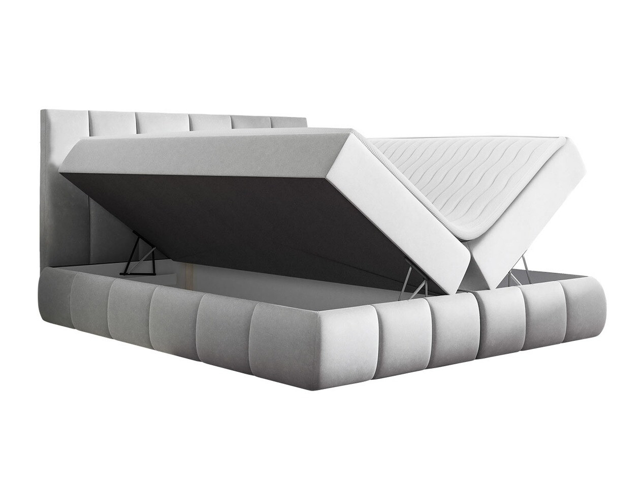 Continental lova Cursus (Kronos 22)