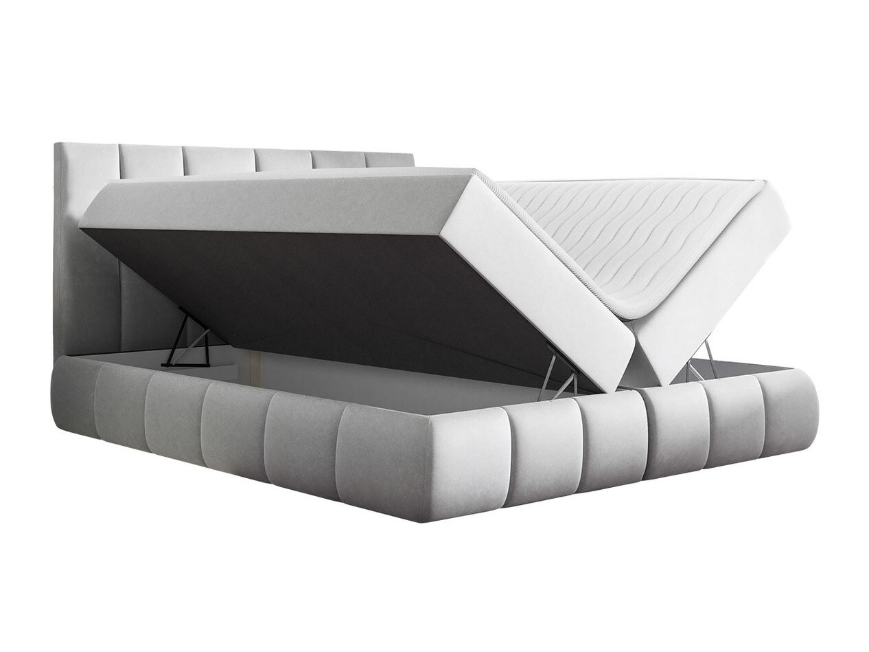 Continental lova Cursus (Kronos 26)