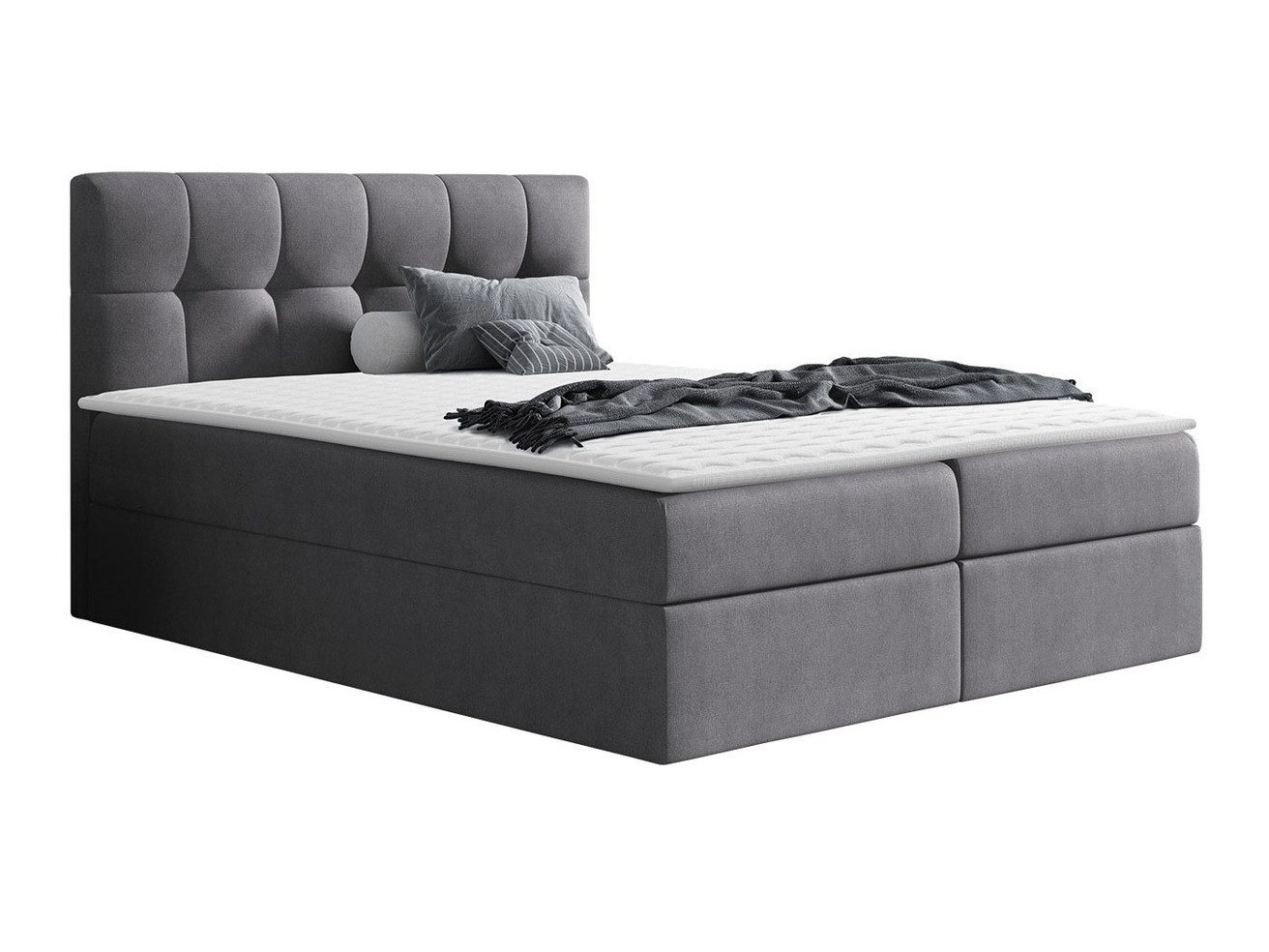 Continental lova Aedes (Rico 23)