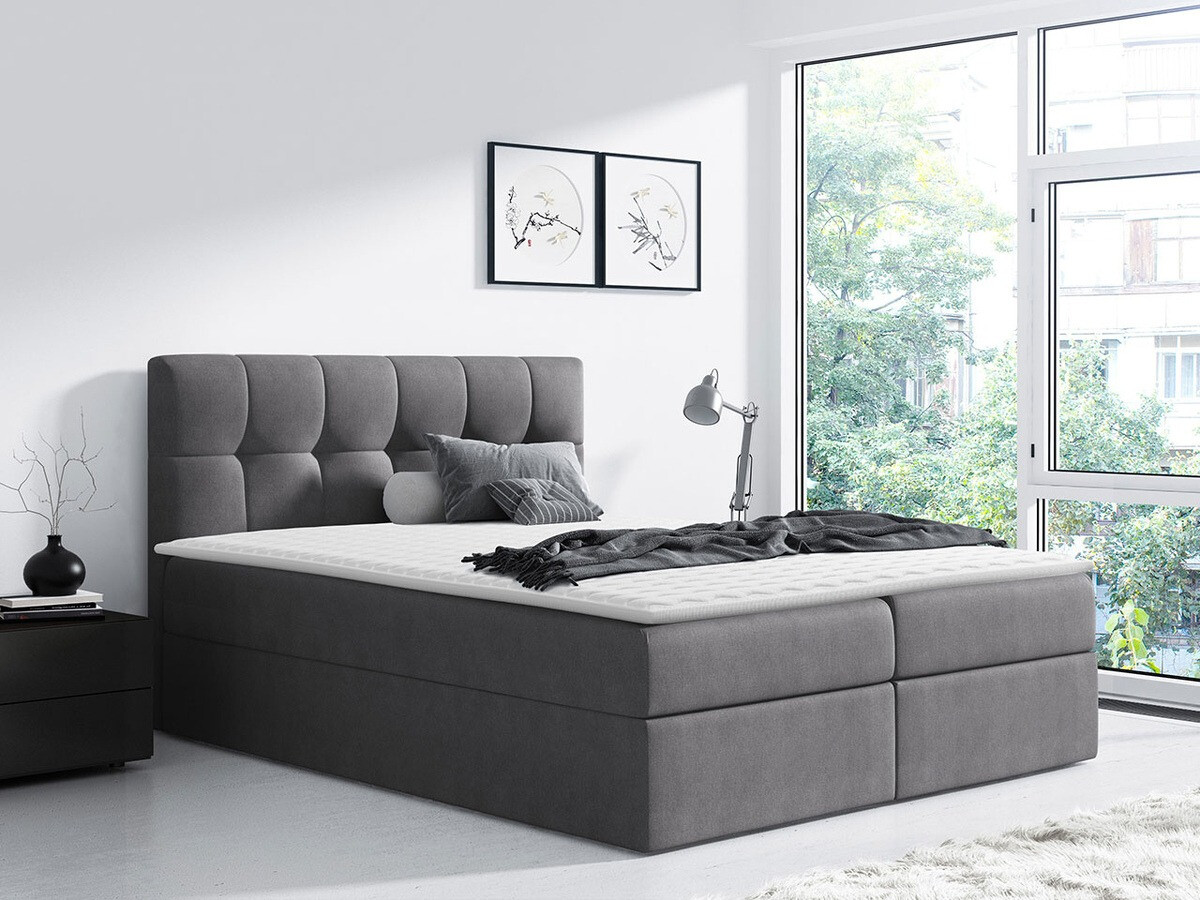 Continental lova Aedes (Rico 23)