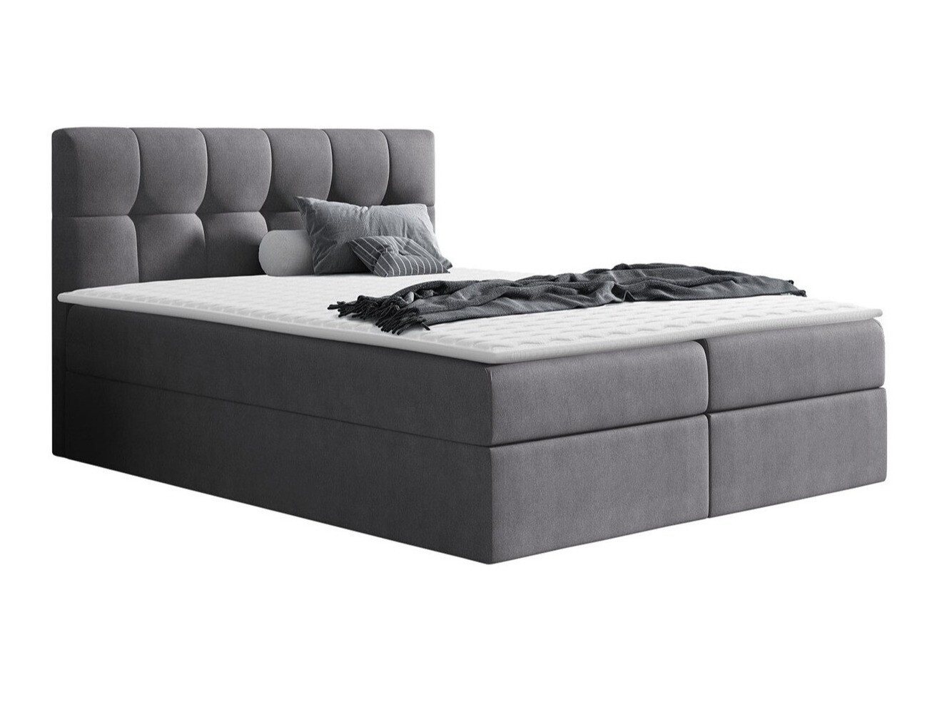 Continental lova Aedes (Rico 23)