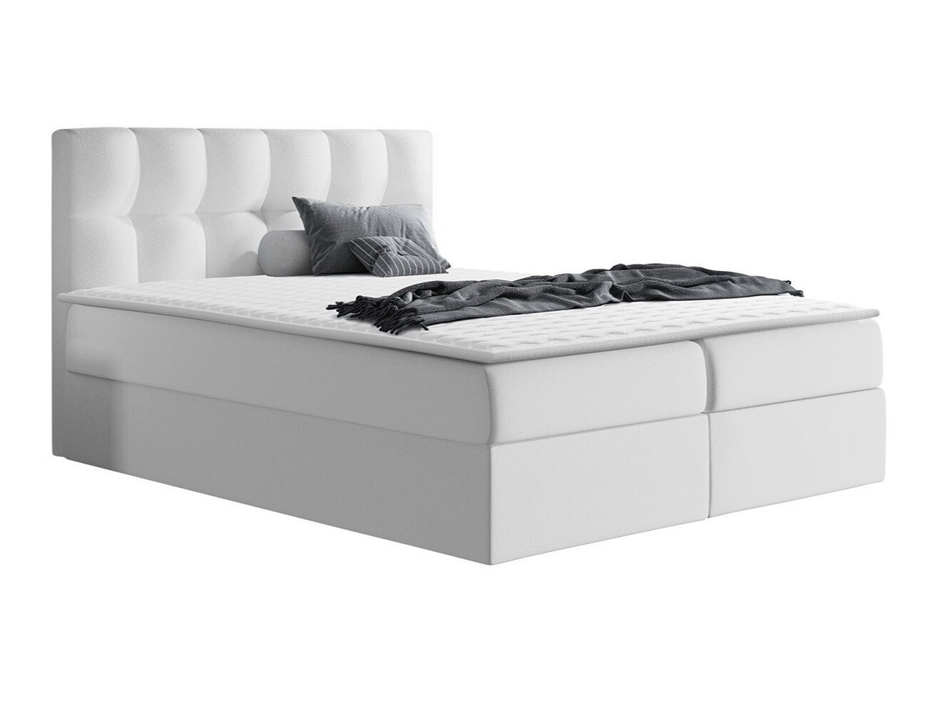 Continental lova Aedes (Soft 017)