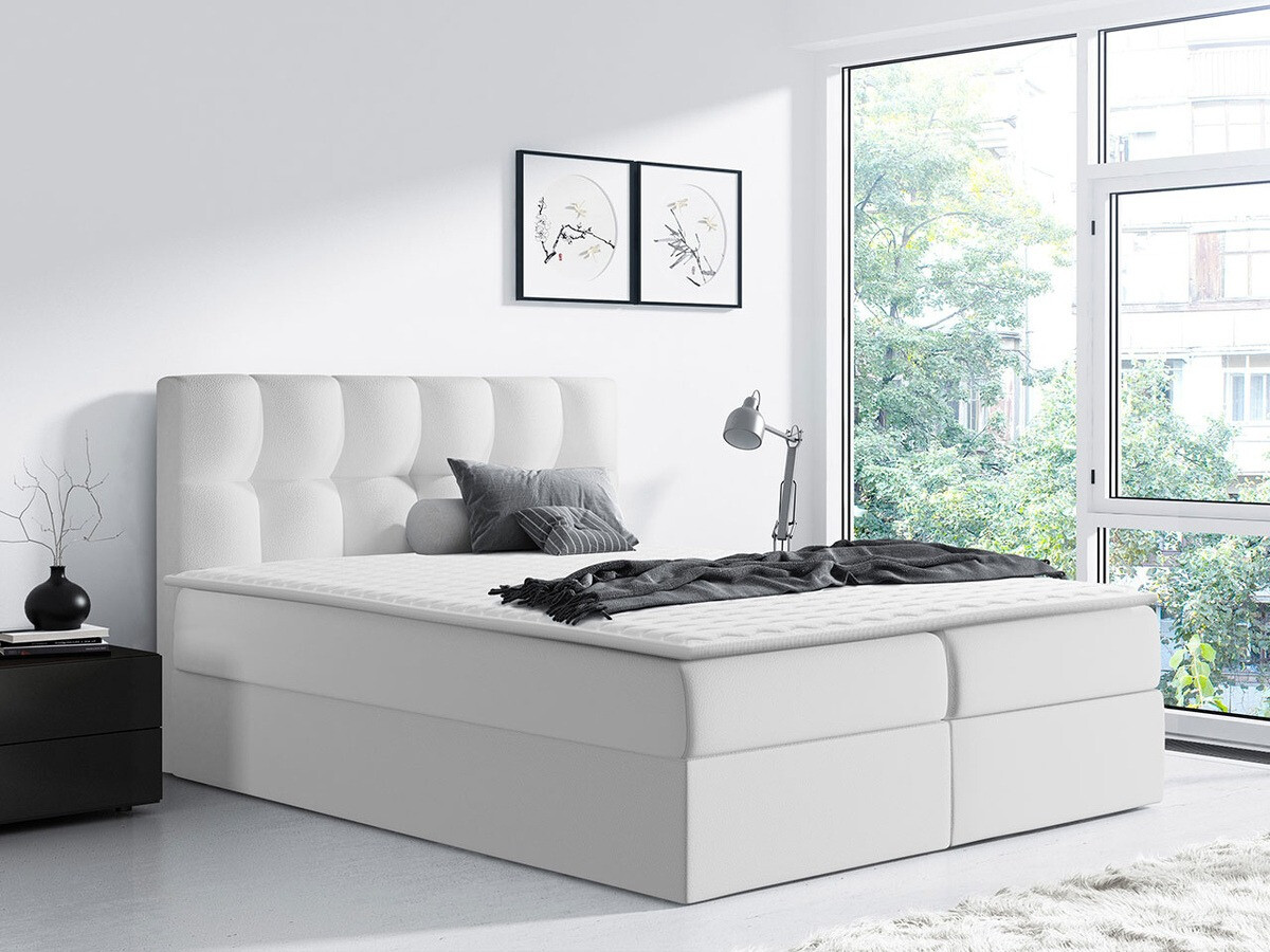 Continental lova Aedes (Soft 017)