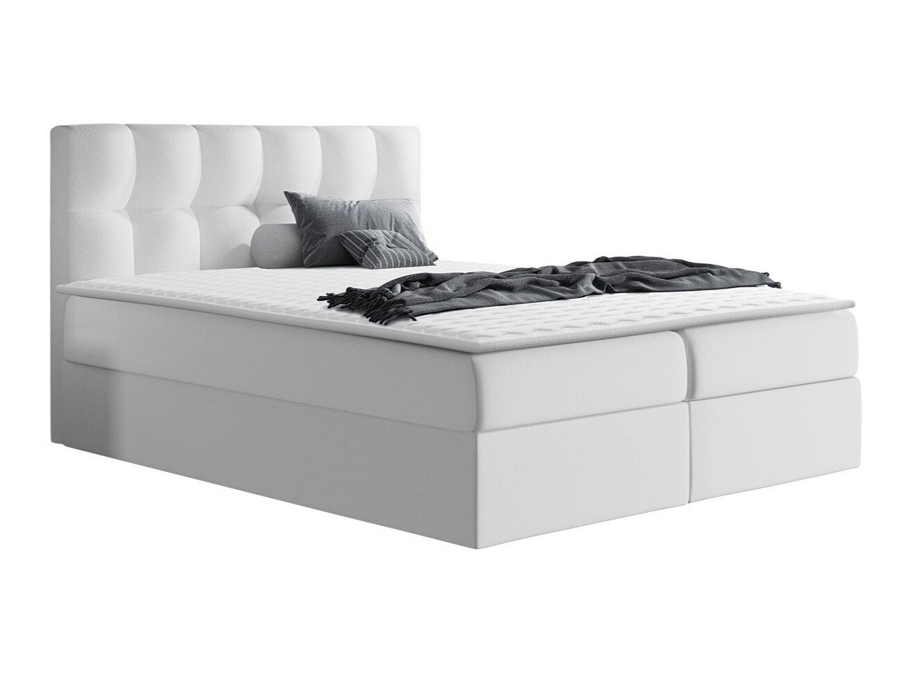 Continental lova Aedes (Soft 017)