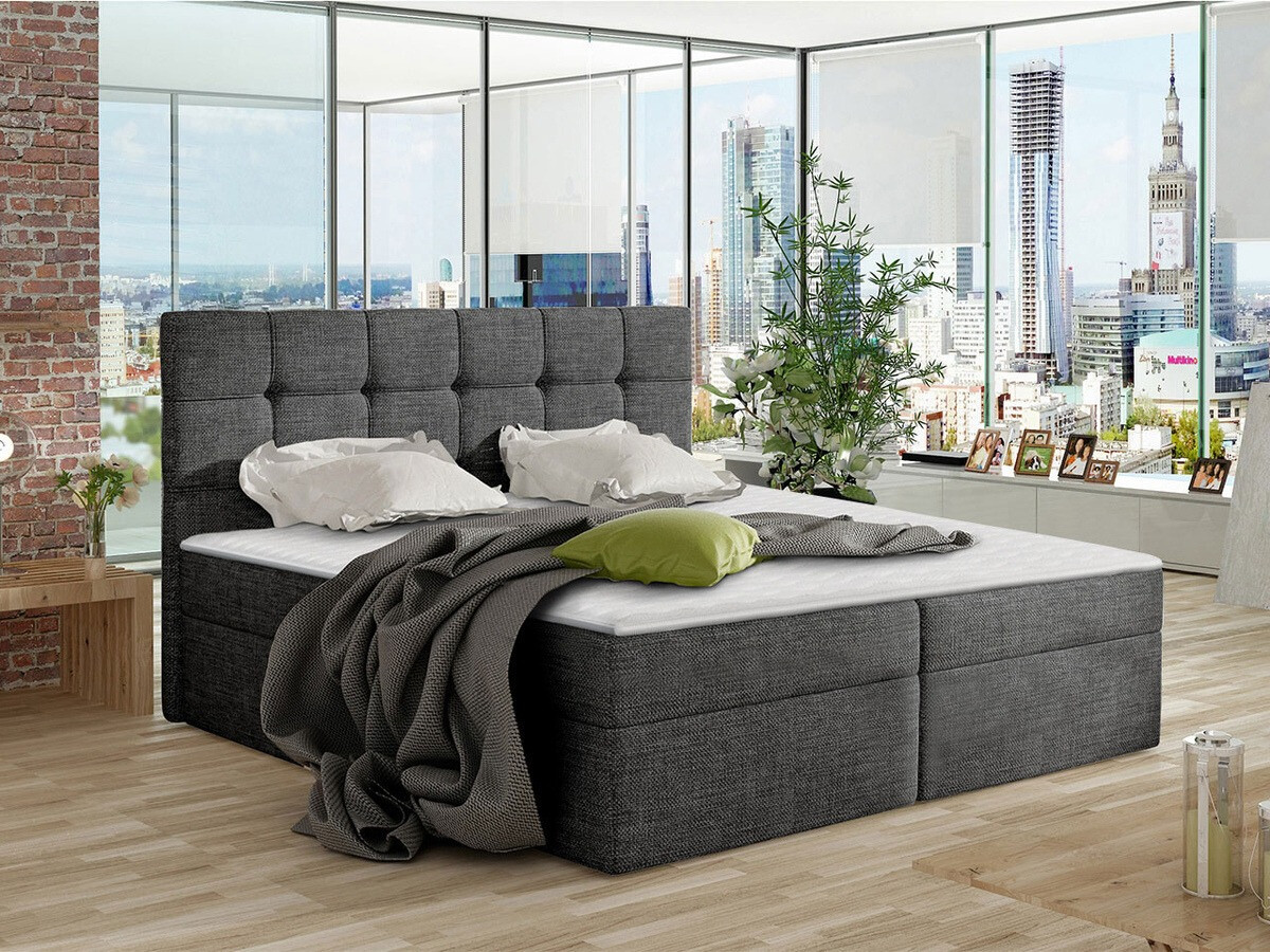 Continental lova Comfivo Gaudens (Muna 10)