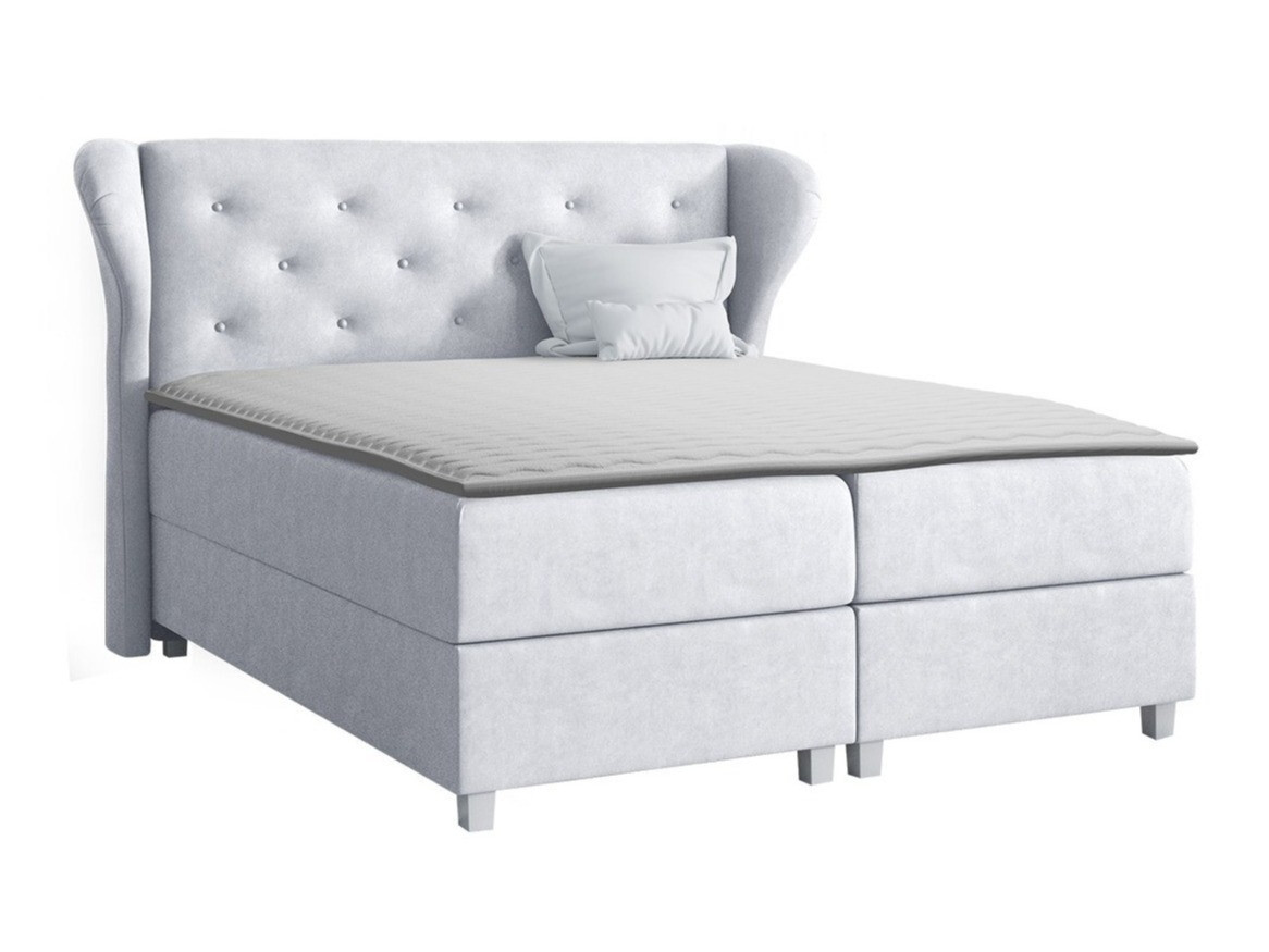 Continental lova Ovum (Prestige 2769)