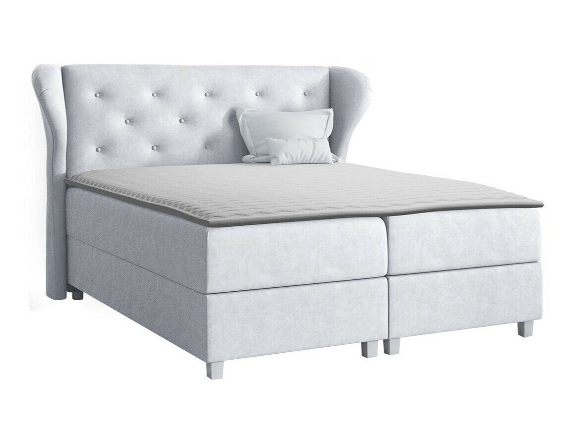 Continental lova Ovum (Prestige 2769)