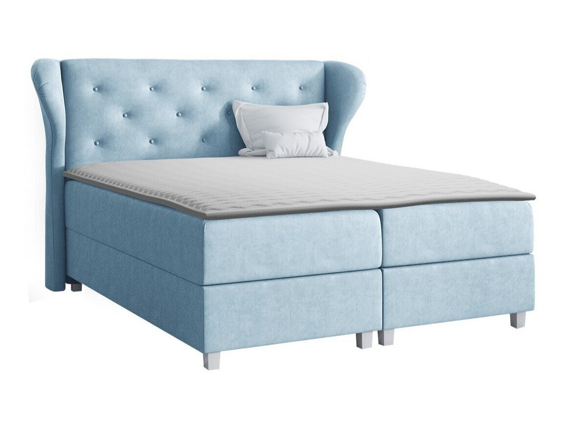 Continental lova Ovum (Prestige 2771)