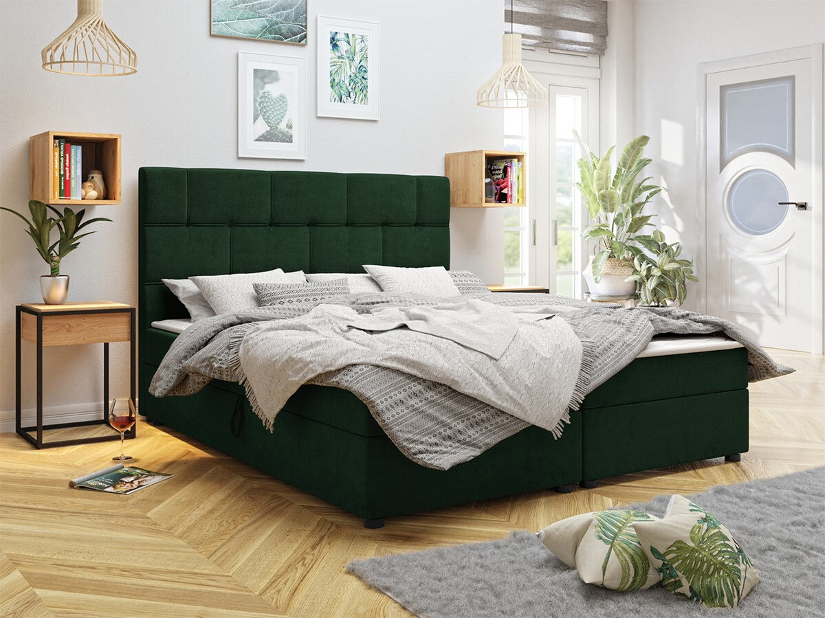 Continental lova Memphis 103 (Itaka 10)