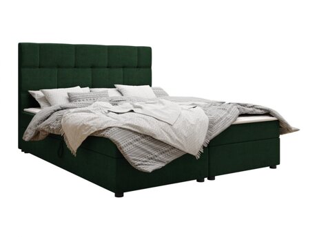 Continental lova Memphis 103 (Itaka 10)