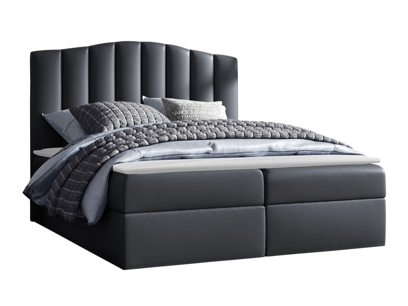 Continental lova Cantus