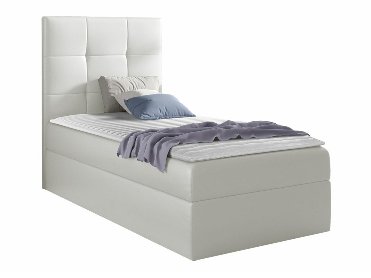 Continental lova Nomen (Soft 017)