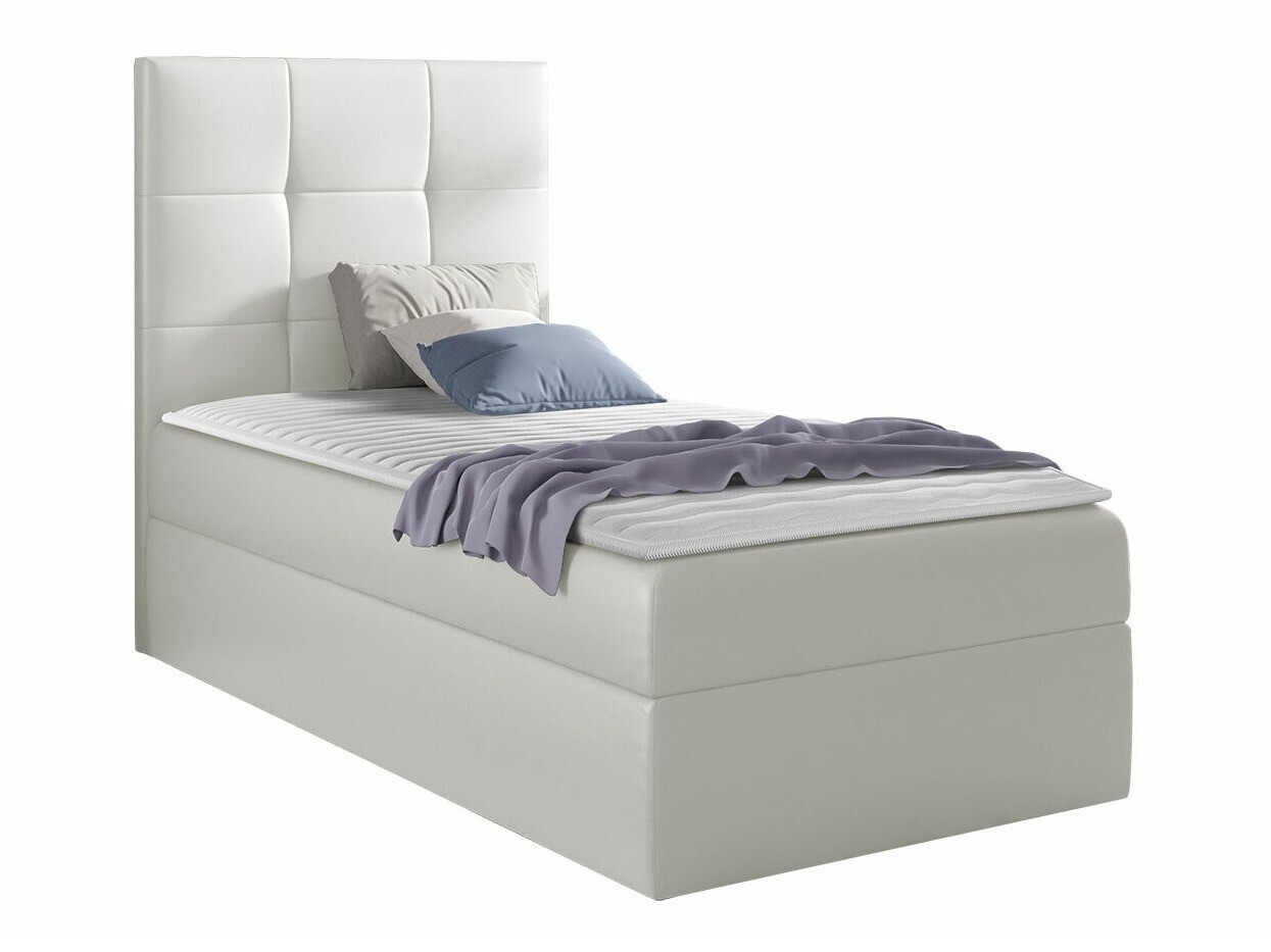 Continental lova Nomen (Soft 017)